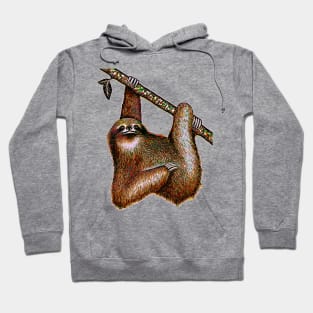 Sloth sloth lover cute sloth Hoodie